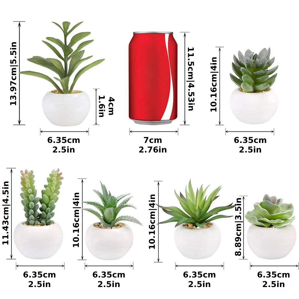 Artificial Succulent Plants: image 5