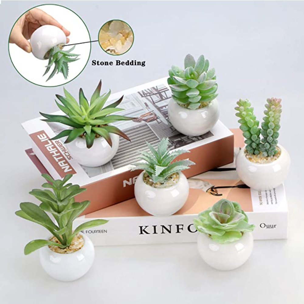 Artificial Succulent Plants: image 6